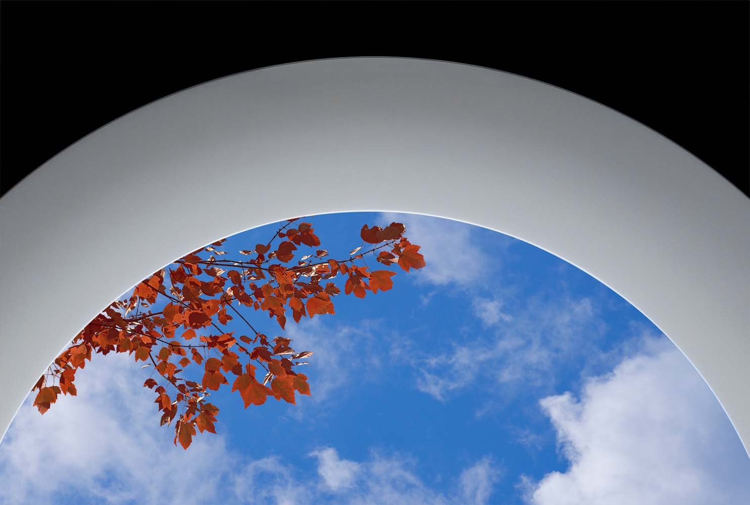 Sky Factory Aperture SkyCeiling with red fall leaves and blue sky