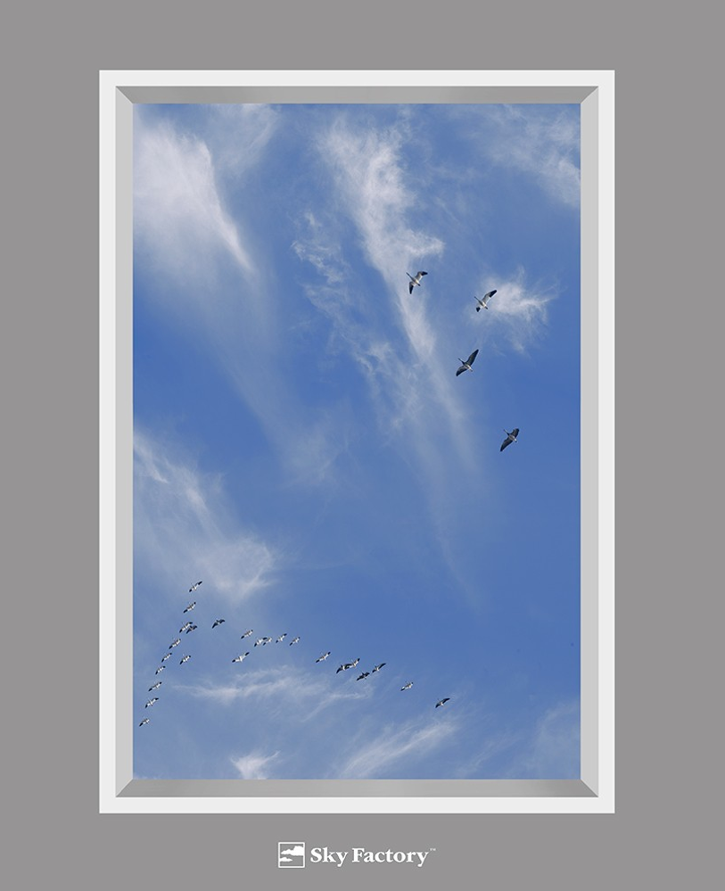Sky Factory 4 foot by 6 foot Revelation Virtual SkyCeiling with snow geese and high cirrus clouds