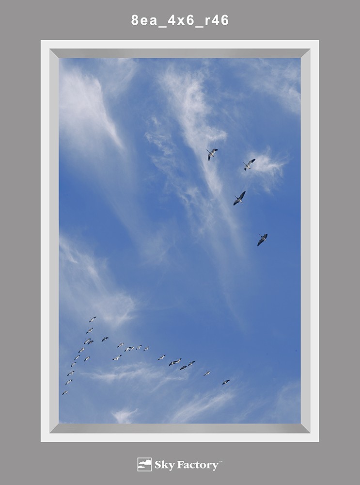 Image 7 Revelation Sketch with Birds and Cirrus Clouds