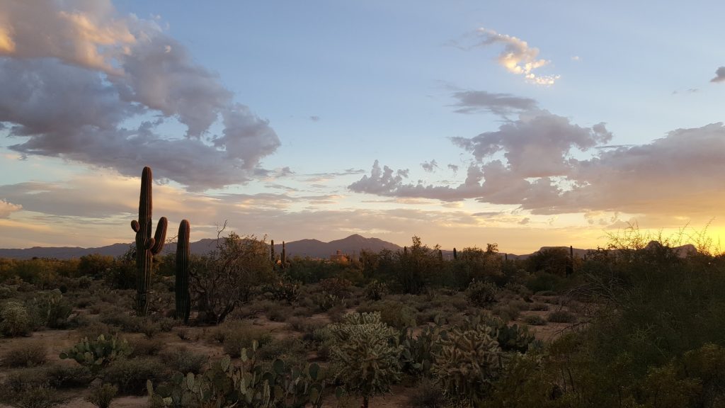 Taliesin Fellowship Desert Sunset