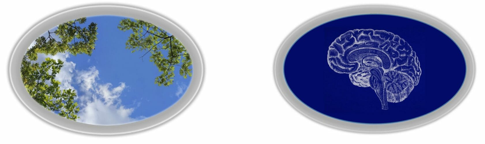 Lead Image Research Page AP